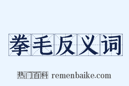 拳毛反义词是什么意思的图片